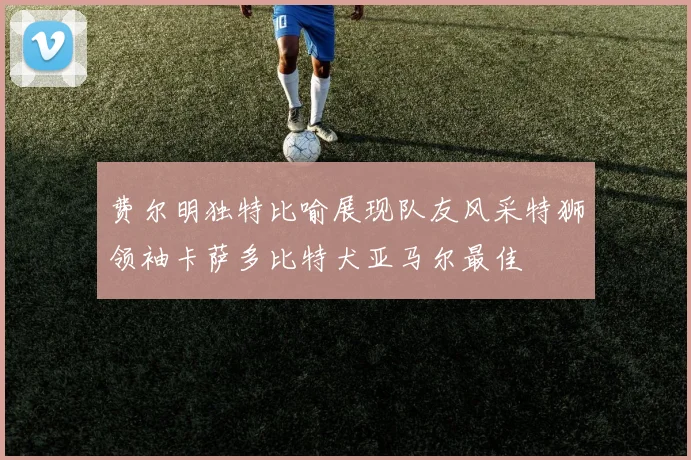 费尔明独特比喻展现队友风采特狮领袖卡萨多比特犬亚马尔最佳