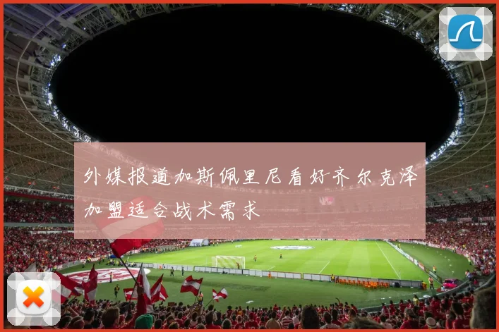 外媒报道加斯佩里尼看好齐尔克泽加盟适合战术需求